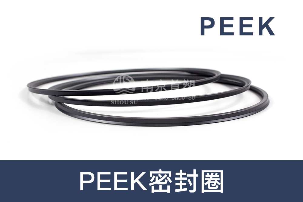 汽车机械行业用PEEK密封圈